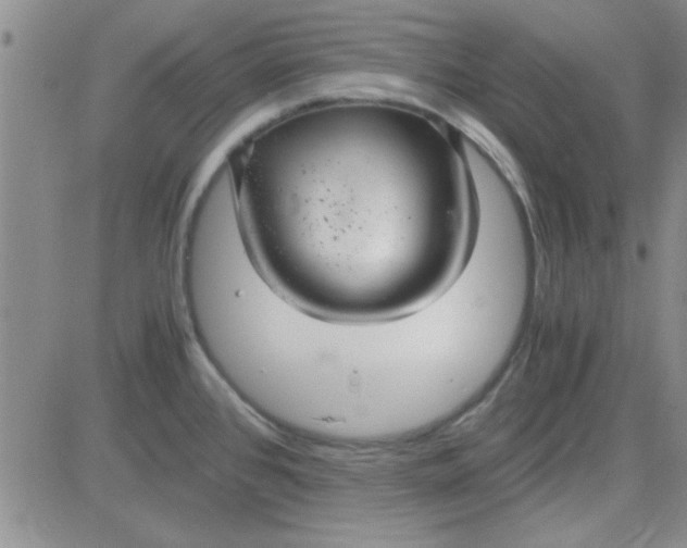 X0000084011384200703022020