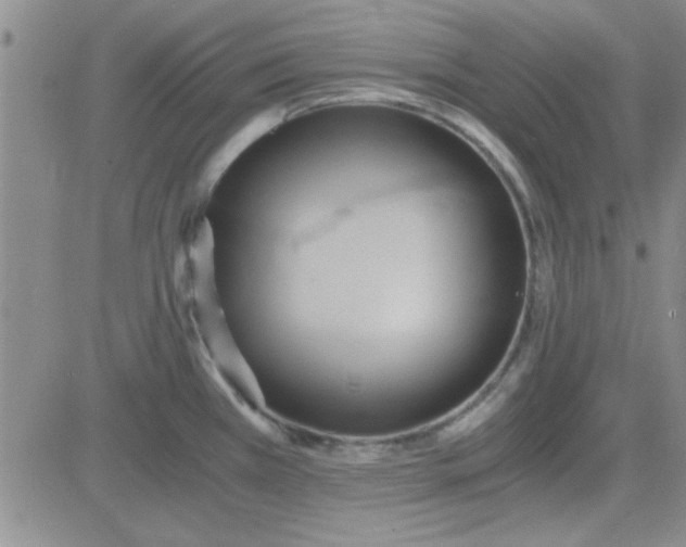 X0000084011385200703022020