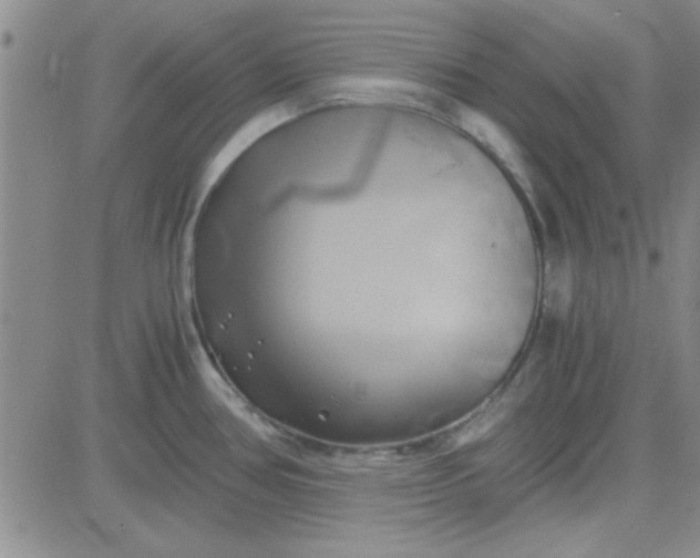 X0000084011386200703022020