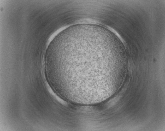 X0000084011387200703022020