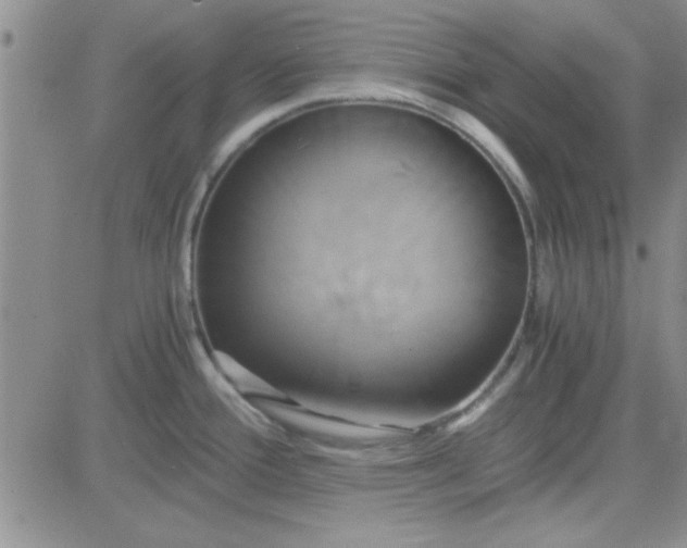 X0000084011388200703022020