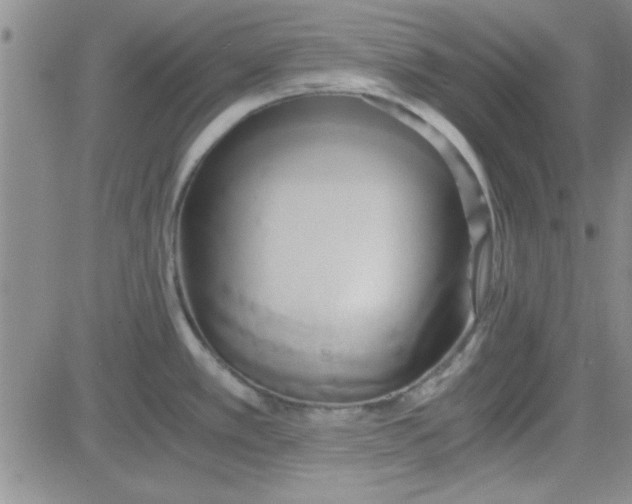 X0000084011389200703022020