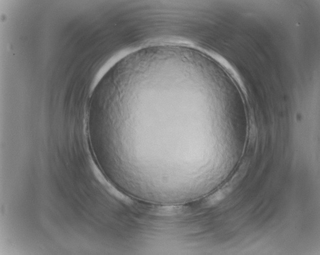 X0000084011390200703022020