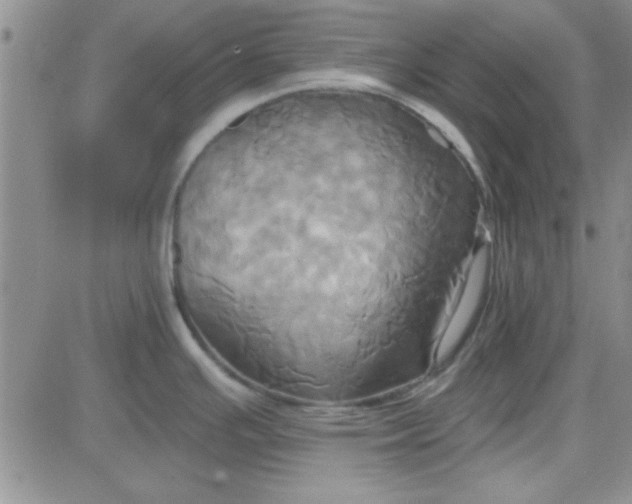 X0000084011391200703022020