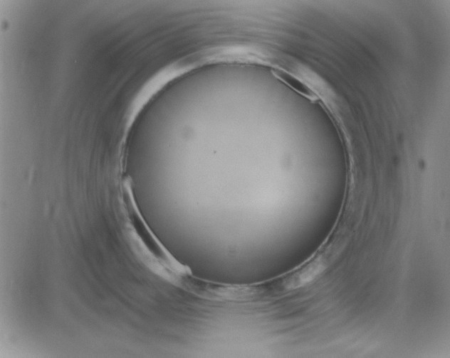 X0000084011392200703022020