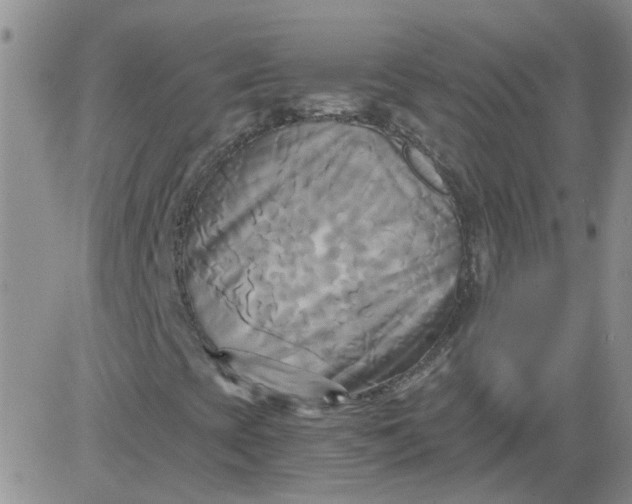 X0000084011393200703022019