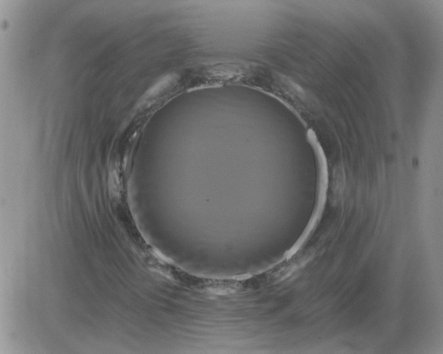 X0000084011394200703022019