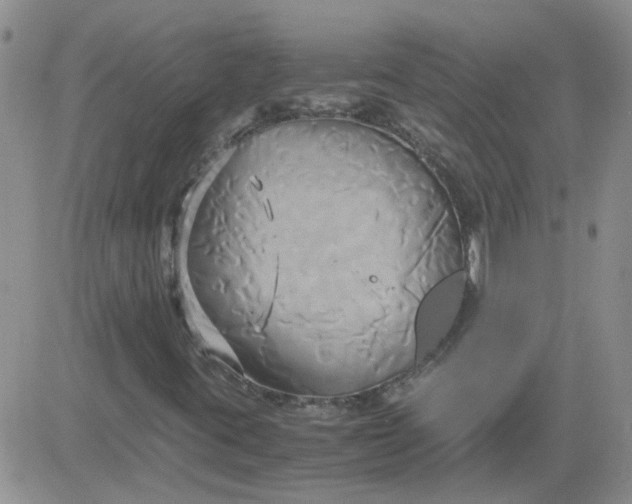 X0000084011395200703022019