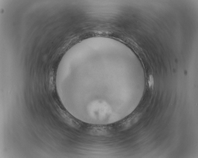 X0000084011396200703022019