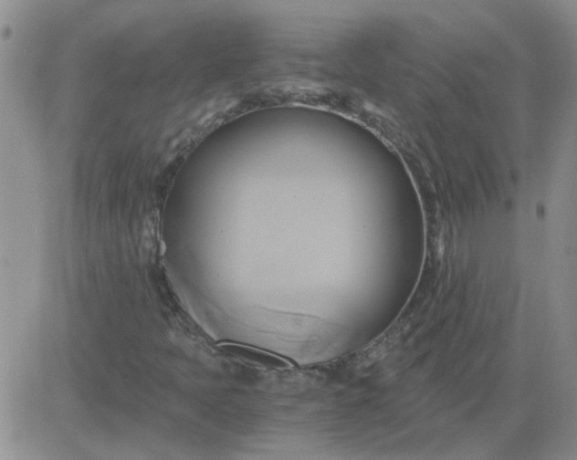 X0000084011397200703022019