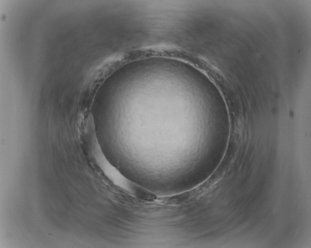 X0000084011398200703022019