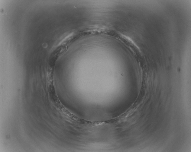 X0000084011399200703022019