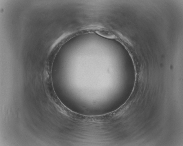 X0000084011400200703022019