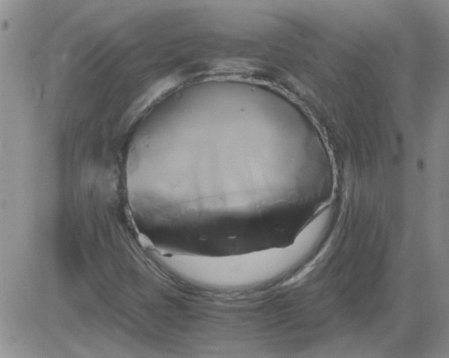 X0000084011401200703022019