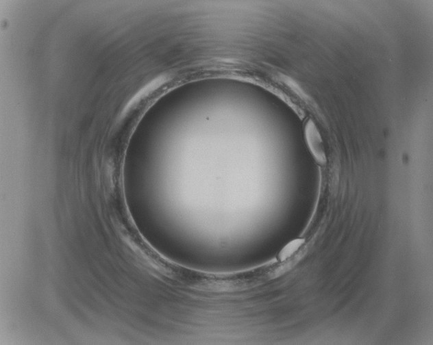 X0000084011402200703022019