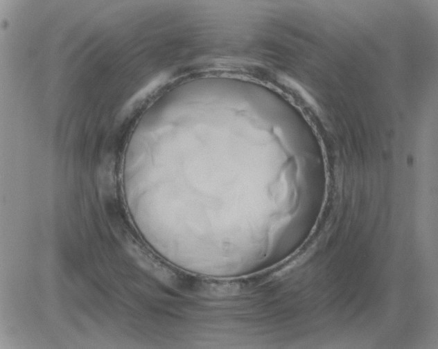 X0000084011403200703022019