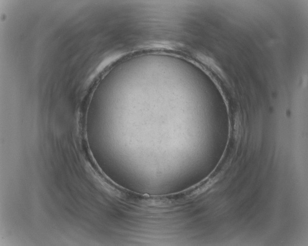 X0000084011404200703022019