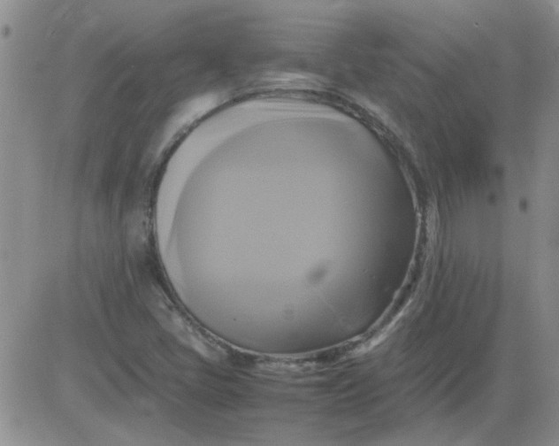 X0000084011405200703022019