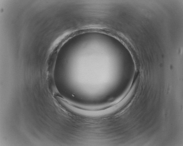 X0000084011406200703022019