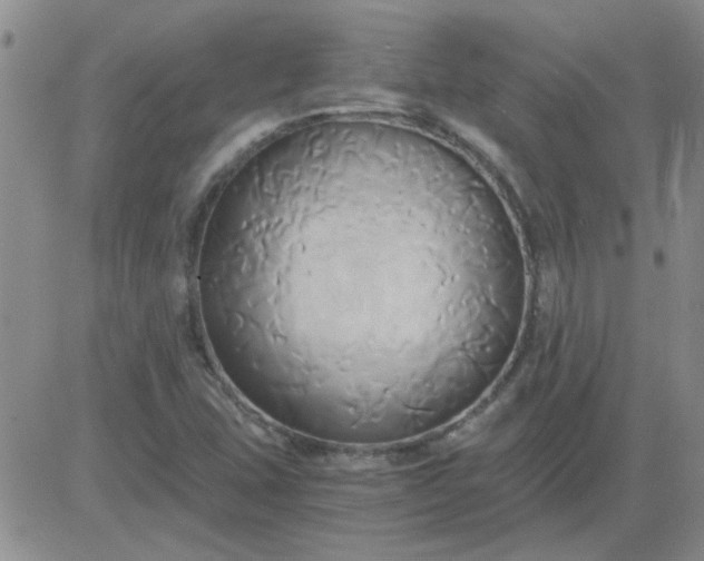 X0000084011407200703022019