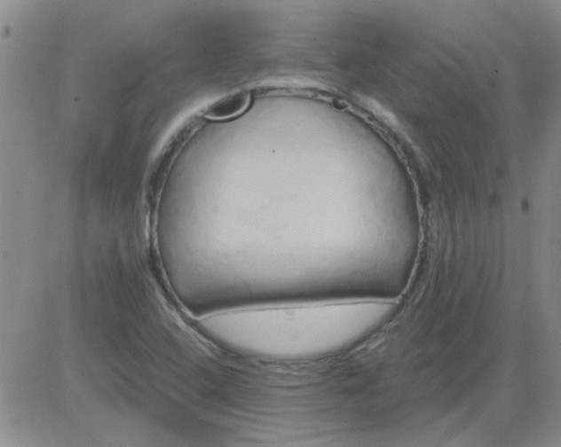 X0000084011408200703022019