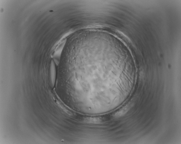 X0000084011409200703022019