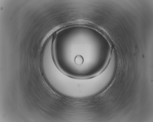 X0000084011410200703022019