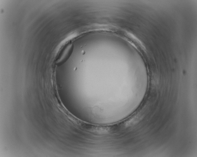 X0000084011411200703022019