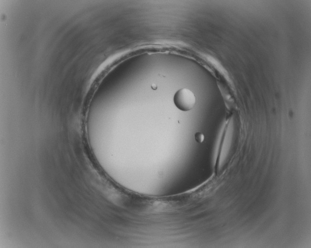 X0000084011412200703022019