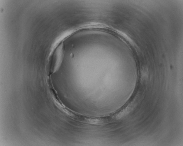 X0000084011413200703022019