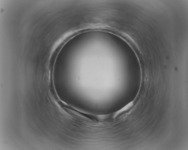 X0000084011414200703022019