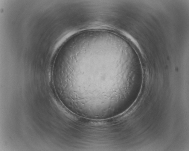 X0000084011415200703022019