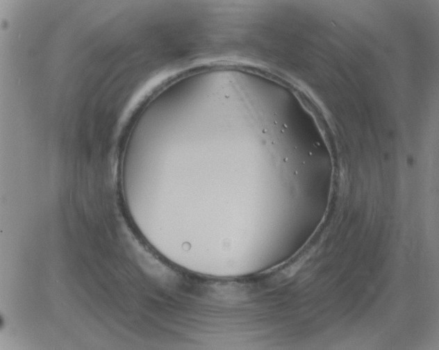 X0000084011416200703022019