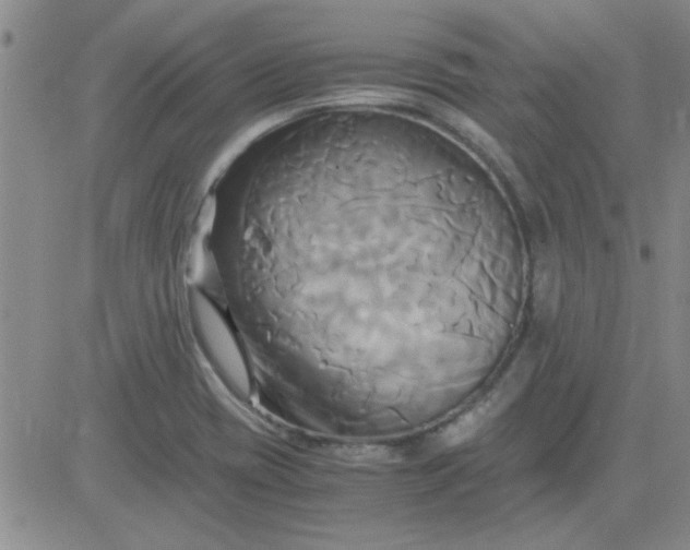 X0000084011417200703022019