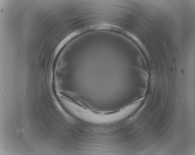 X0000084011418200703022019