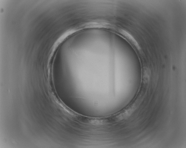 X0000084011419200703022019