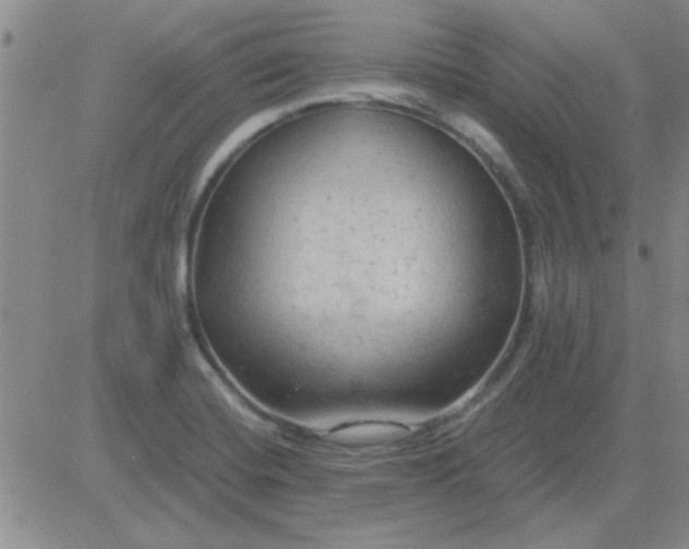 X0000084011420200703022019