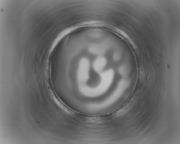 X0000084011421200703022019