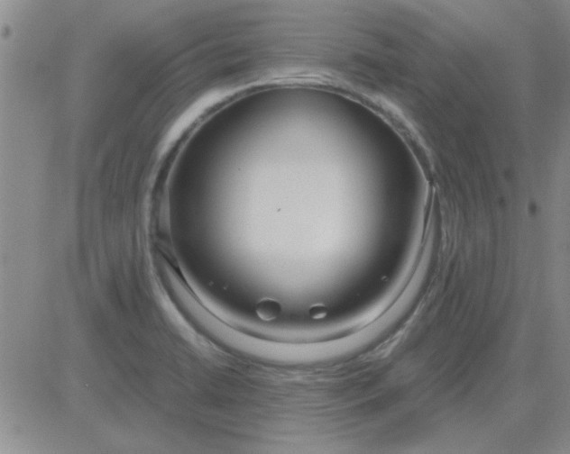 X0000084011422200703022019