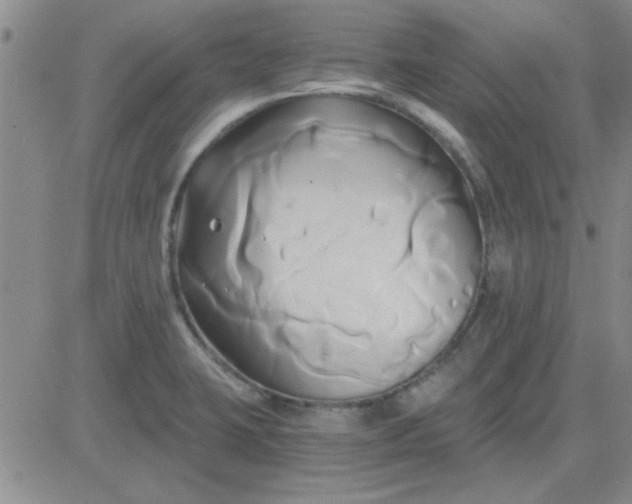 X0000084011423200703022019