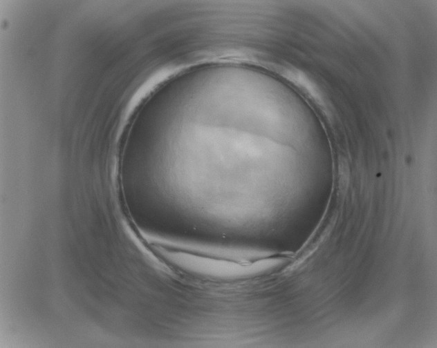 X0000084011424200703022019