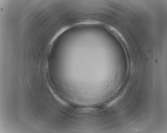 X0000084011425200703022019