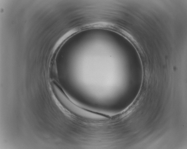 X0000084011426200703022019