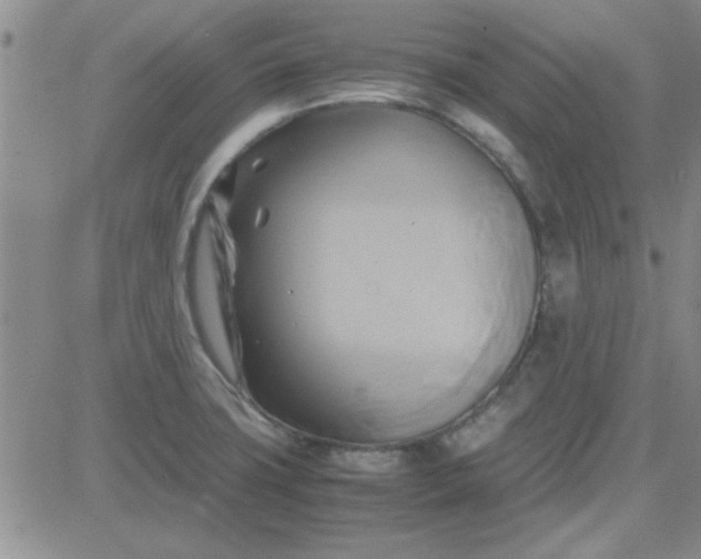 X0000084011427200703022019