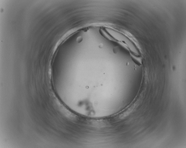 X0000084011428200703022019