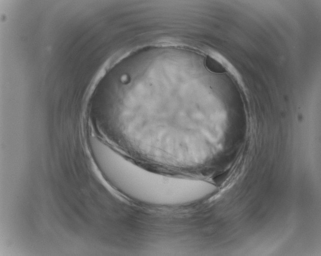 X0000084011429200703022019