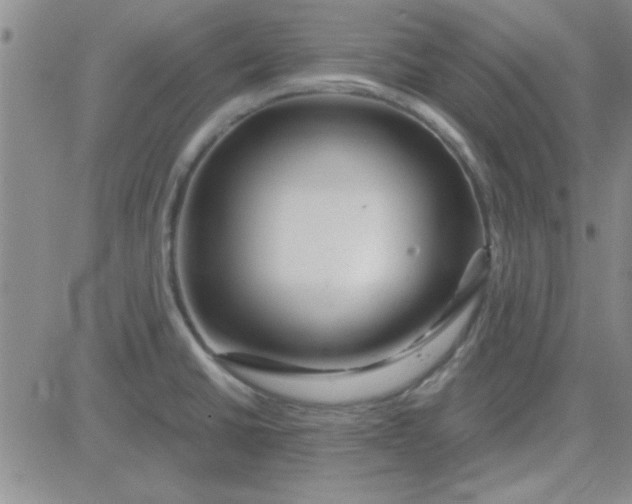 X0000084011430200703022020