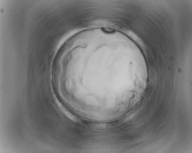 X0000084011431200703022020