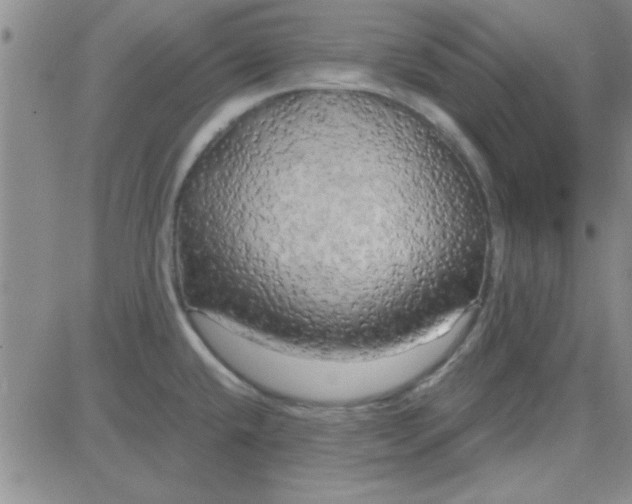 X0000084011432200703022020