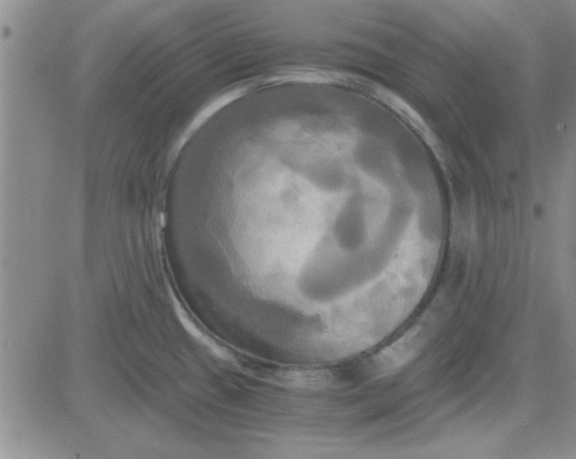 X0000084011433200703022020